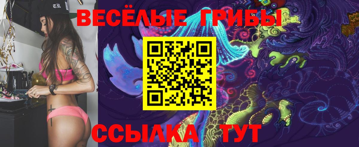 купить  цена  Галлюциногенные грибы GOLDEN TEACHER  Туймазы  Вход с VPN  Псилоцибиновые грибы Magic Shrooms 