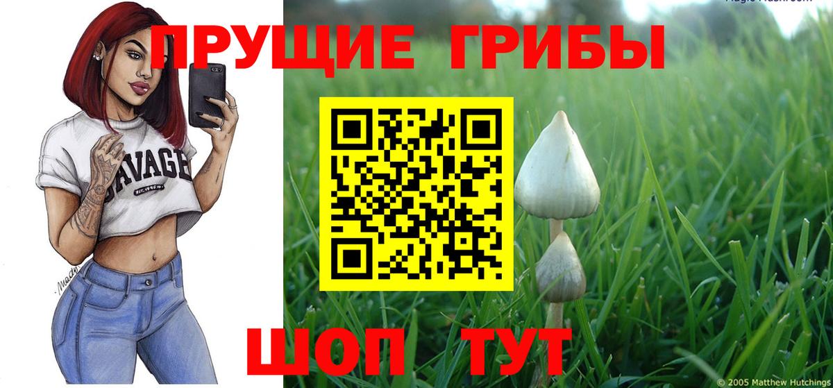 Галлюциногенные грибы Psilocybe Туймазы